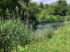 an der Alten  Aare an der Alten  Aare