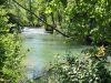 IMG_6636 IMG_6636