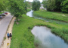 Sicht von der Brücke über die alte Aare Sicht von der Brücke über die alte Aare