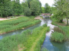 Sicht von der Brücke über die alte Aare Sicht von der Brücke über die alte Aare