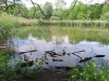 Gewässer  der Alten  Aare Gewässer  der Alten  Aare