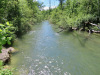 an der Alten  Aare an der Alten  Aare