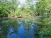 an der Alten  Aare an der Alten  Aare