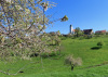 Bourrignon