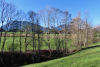Moorlandschaft bei Finsterwald