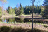 Moorlandschaft bei Finsterwald; Moorsee