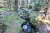 Moorlandschaft bei Finsterwald
