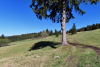 Blick zurück