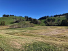Moorlandschaft bei Finsterwald