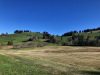 Moorlandschaft bei Finsterwald