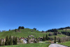 Finsterwald 1057m