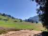 Moorgebiet mit Mittagsgüpfi 1917m