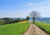 öhenzug oberhalb  Gettnau: