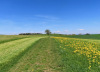 Höhenzug oberhalb  Gettnau: