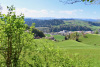 Sicht ins Tal; Zell