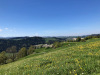 Gegend bei Gettnau