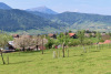 Alosen mit Rigi und Zugerberg