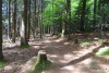 der Panoramaweg