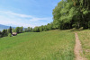 auf em Panoramaweg