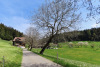 Frühlingslandschaft