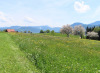 Frühlingslandschaft