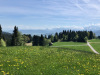 Abschwändi 1140m; Mitte die beiden Mythen
