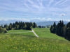 Abschwändi 1140m