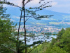 erste Sicht  auf Thunersee