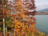 Herbst Idylle am See