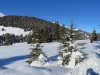zauberhafte Winterlandschaft