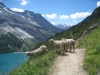 img_5959 img_5959