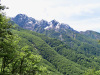 Monte Limidario 2189m, Rocce del Gridone  2155m; in diesem Waldgebiet bin ich gewandert