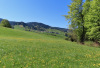 Blick auf das Dorf Finstersee