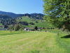 bald an der Strasse unten