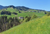 Blick auf das Dorf Finstersee