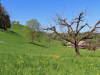 auf dem Weg nach Finstersee