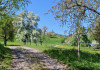 Blust in Finstersee