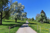 Blust in Finstersee