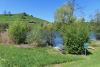 der Wilersee  729m