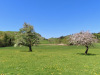 Blust bei Hinterkehr 712m