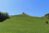 Drumlin Landschaft