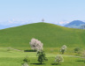 Drumlin Landschaft bei Brettingen