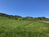 Drumlins