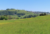 Sicht auf das Dorf Hirzel
