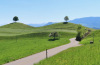 Drumlins