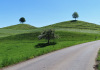 Drumlins
