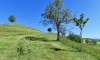 Drumlins