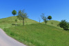 Drumlins