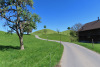 Drumlins bei Ölegg