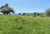 Landschaft bei Blachen